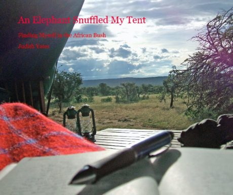 An Elephant Snuffled My Tent